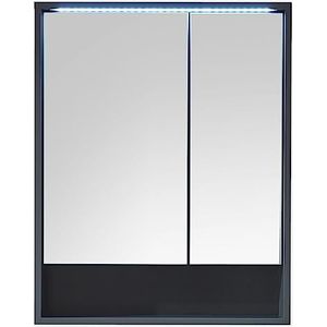 LUCERA Spiegelkast badkamer met LED-verlichting in mat grijs - badkamerspiegel kast met veel opbergruimte - 60 x 75 x 20 cm (b x h x d)