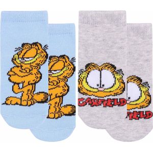 Garfield - 2 paar Grijze en Blauwe Babysokjes / 0-14 m