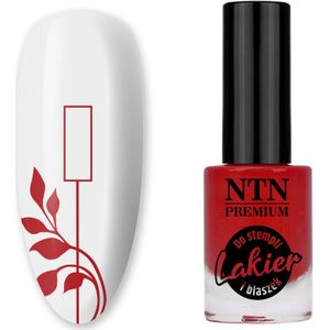 NTN Premium stempellak zilver 7ml nr. 93