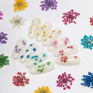 Nageldecoratie droogbloemen MollyLac Groen 5 stuks