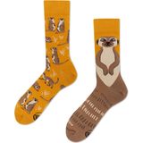 Many Mornings - The Meerkat - Unisex Sokken