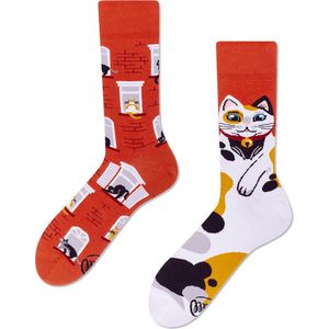 Many Mornings sokken city cat multi unisex