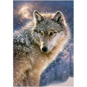 Castorland - B-52431 - Legpuzzel - Lone Wolf - 500 Stukjes - Kleurrijk