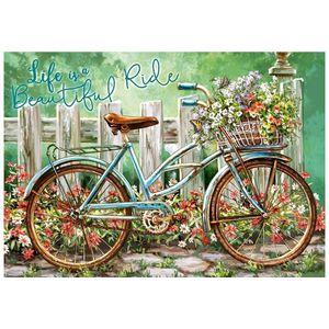 Castorland - Beautiful Ride - Legpuzzel - 500 Stukjes