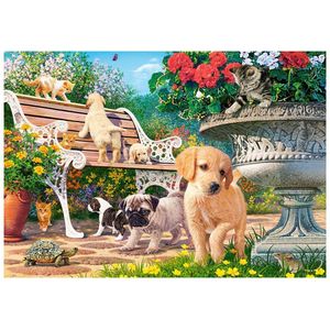 Hide and Seek - 500pcs
