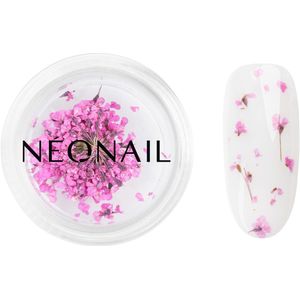 NEONAIL Dried Flowers 02 - Purple - Nagelversiering - Gedroogde Bloemetjes