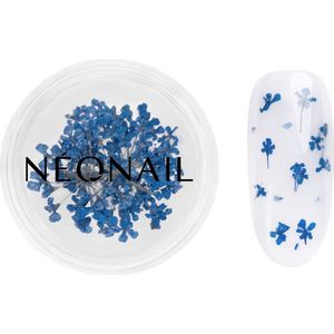 Dried Flowers 04 - Nagelstyling - Donkerblauw - Gedroogde Bloemen