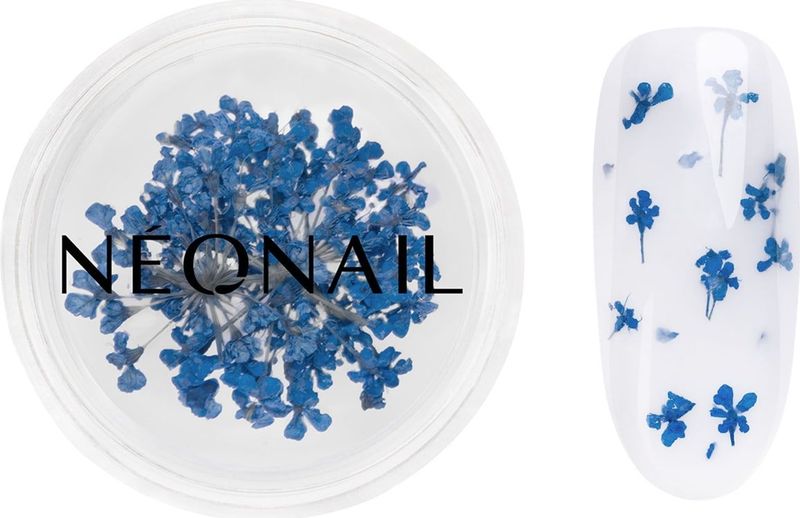 Dried Flowers 04 - Nagelstyling - Donkerblauw - Gedroogde Bloemen