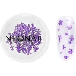 Dried Flowers - 06 - Nagelversiering - Violet - Gedroogde Bloemen