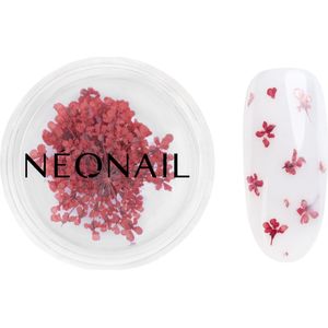 Floral - Nagelversiering - Rood - Gedroogde Bloemen