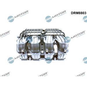 Inlaatspruitstuk Hyundai, Kia Dr. Motor Drm8803