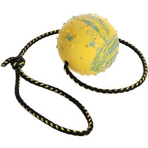 Hondenbal Speelgoed Hondenballen Hondenspeelgoedbal Onverwoestbaar Hondenspeelgoed