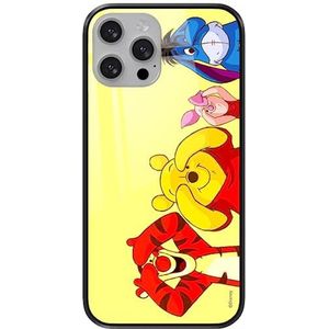 ERT GROUP Mobiele telefoonhoes voor Apple iPhone 13 Pro Max origineel en officieel gelicentieerd Disney-patroon Winnie The Pooh & Friends 036 van gehard glas, beschermhoes