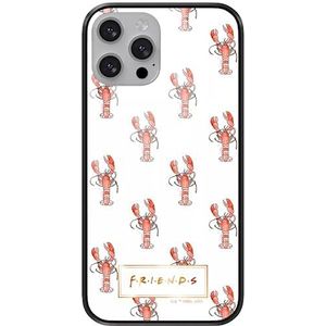 ERT GROUP Officieel gelicentieerd Friends-patroon vrienden 010 mobiele telefoonhoes voor Apple iPhone 13 van gehard glas, beschermhoes