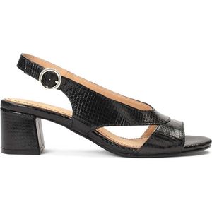 Black leather sandals on a wide heel