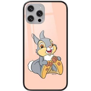 ERT GROUP Mobiele telefoonhoes voor Apple iPhone 13 Pro origineel en officieel gelicentieerd Disney Thumper 002-patroon van gehard glas, beschermhoes