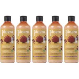 ITINERA - Conditioner voor beschadigd haar met kastanje uit de Toscaanse heuvels, 96% natuurlijke ingrediënten, 370 ml (5 stuks)