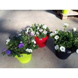 Prosperplast Bloempot/plantenpot voor binnen en buiten D40 x H35 antraciet kunststof