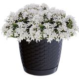 Ronde gevlochten plantenpot/bloempot kunststof dia 19 cm en hoogte 16,5 cm in het antraciet grijs