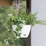 1x Stuks witte hangende ratolla bloempotten/plantenpotten rotan met schotel 4,85 liter van kunststof