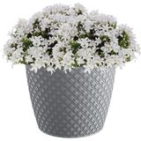Prosperplast - Plantenpot - Steengrijs - Kunststof - Diameter 19 cm - Voor Binnen en Buiten