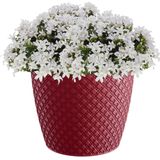 Orient stijl plantenpot/bloempot kunststof dia 22 cm en hoogte 19 cm rood