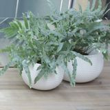 1x Stuks ronde witte Splofy kunststof bloempotten/plantenpotten 1,4 liter - 18 cm - binnen/buiten decoratie