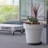 Plantenonderzetter/multiroller rond antraciet kunststof D44,6 cm - Trolleys voor kamerplanten