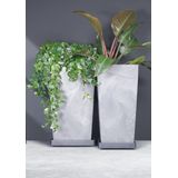 Prosperplast Plantentrolley - 36 X 36 cm - Antraciet