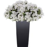 Prosperplast bloempot/plantenpot Urbi met binnenpot antraciet 24 x Kunststof