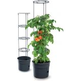 Prosperplast Tomate Grower plantenbak van kunststof in antraciet (L) x 29,5 (B) x 23,6-115,2 (H) cm