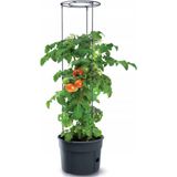 Tomaten pot met steun - ø 39 cm Tomaten pot met steun - ø 39 cm