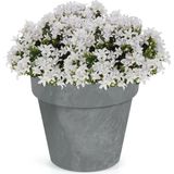 1x Kunststof bloempotten betonlook 25 cm lichtgrijs - Bloempotten/plantenpotten voor binnen en buiten