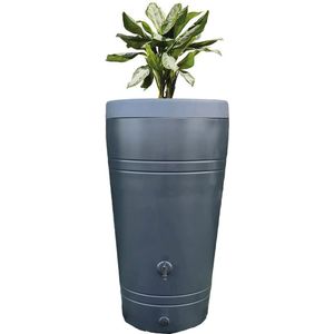 Prosperplast Regentonne "Tube"