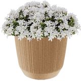 Moderne carf-stripe plantenpot/bloempot kunststof dia 19,5 cm/hoogte 17 cm eco/aarde beige voor binnen/buiten