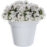 Prosperplast - Bloempot - Wit - D60 x H52 cm - Kunststof