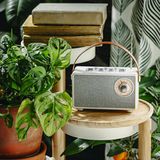 Camry Luidspreker met radio CR 1902 W 5 W Bluetooth Wit Draadloze verbinding, Bluetooth luidspreker, Wit