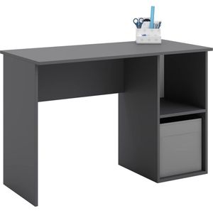 TAKO - Bureautafel - met opberging - 120x55x80cm - grijs