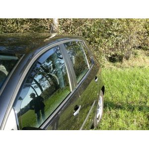 Zijwindschermen Volkswagen Tiguan 5 deurs 2016- | CL 3953 | Nederlands