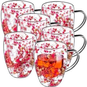 Bredemeijer dubbelwandige theeglazen Merano, 290ml, set