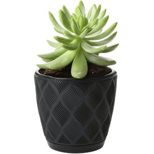 Form Plastic Plantenpot/bloempot New Age - kunststof - zwart - D27 x H24 cm - met opvang schotel - rond
