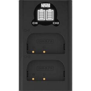 Newell DL-USB-C dual channel charger for DMW-BLF19
