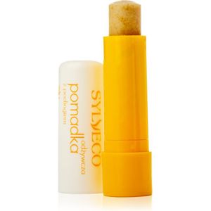 Sylveco Lip Care Lippenbalsem met Peeling Effect 4,6 gr