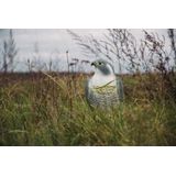 Ketrop - Slechtvalk - Vogelverschrikker - Grijs - Levensecht - 40 x 15 x 15 cm