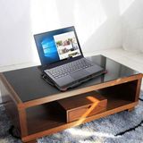 Platinet PLCP5FB Laptopkoeler - Zwart - Hoogte Verstelbaar - 5 Ventilators - 2xUSB