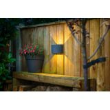Garden Lights: Goura Wandlamp 12 Volt - Antraciet