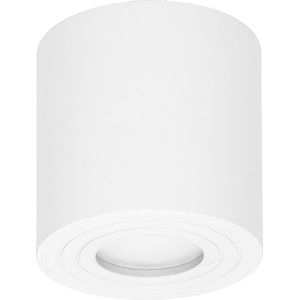 ADVITI MEGY DLR GU10 Opbouwspot Opbouwlamp Plafond Opbouw Rond Aluminium Max 50W IP54 (Wit)