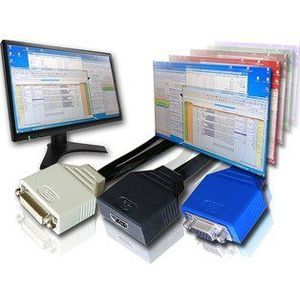 VideoLogger VideoGhost HDMI 2GB Grijs