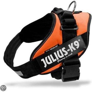 WERELD BEKENDE JULIUS K9 IDC POWERTUIG VOOR TEKSTLABELS ORANGE MAAT 3