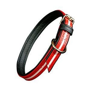 Julius-K9 IDC Lumino Fosforescerende Kraag, 25 mm x 70 cm, Rood